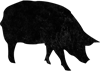 Logo von Geil wie Sau Entertainment UG (haftungsbeschränkt)